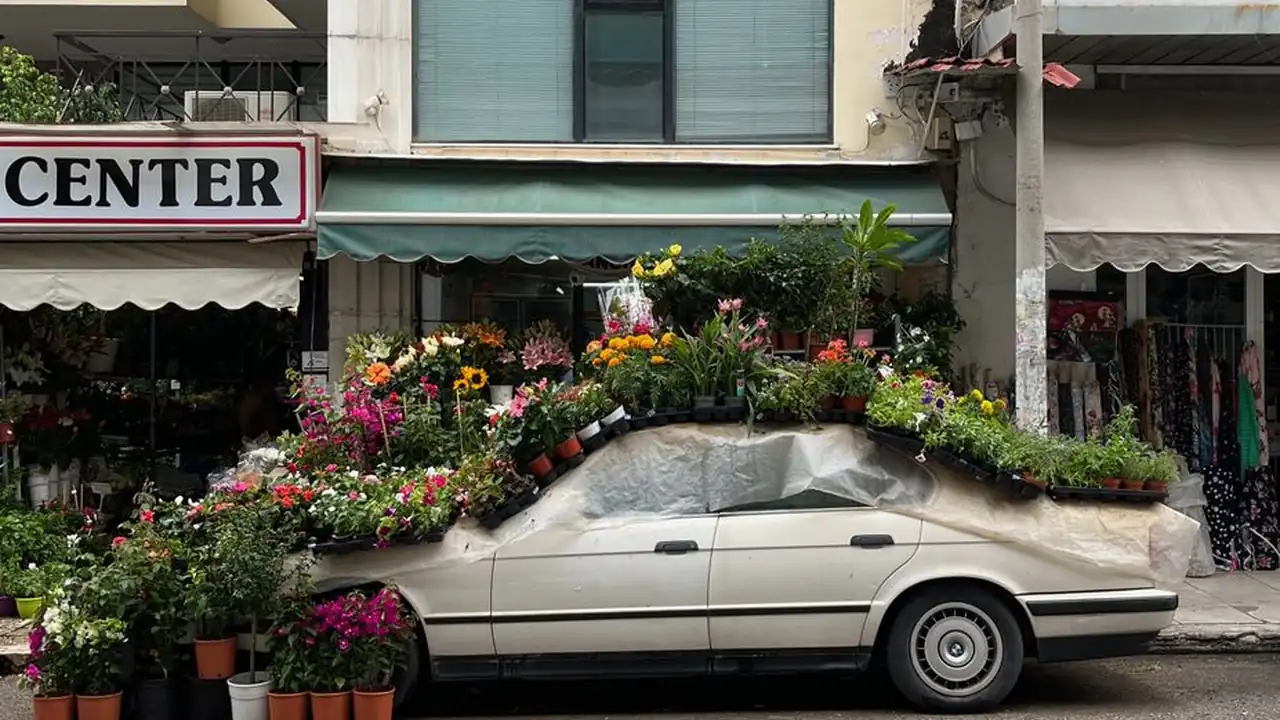 久久青青草视频到底是什么，适合哪些人看